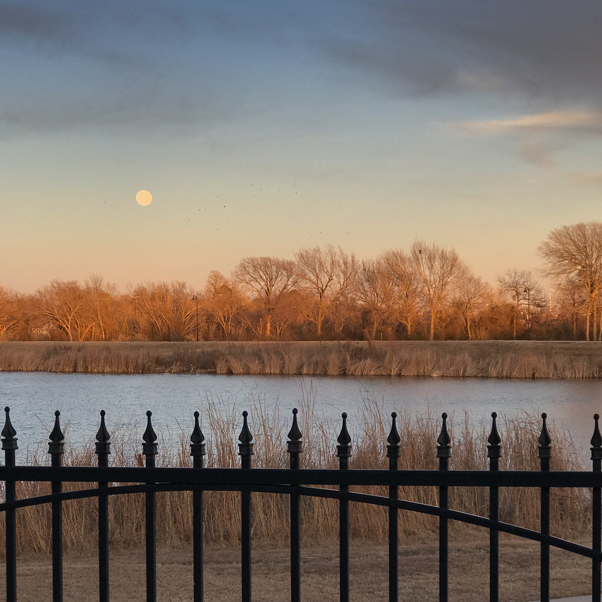 Landscape Photography