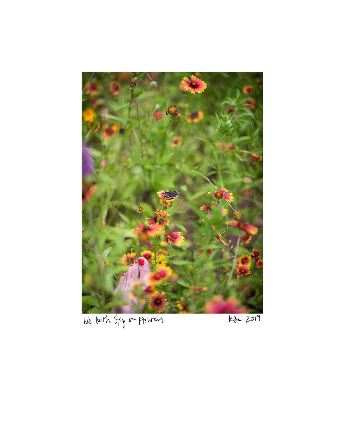 Untitled work