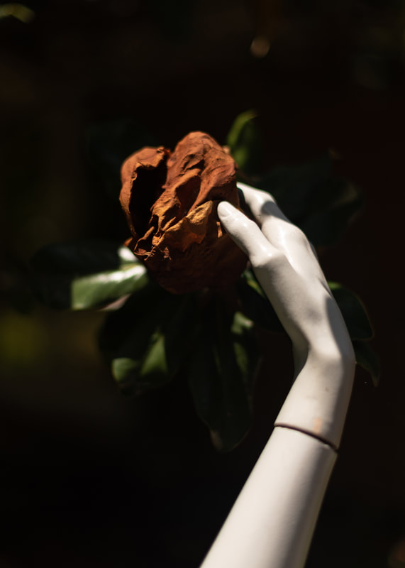 Untitled work